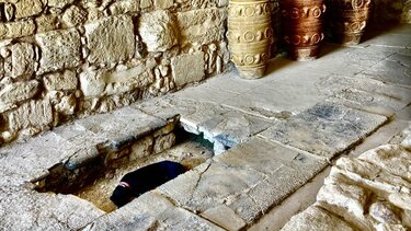 Σκυλί, Κνωσός