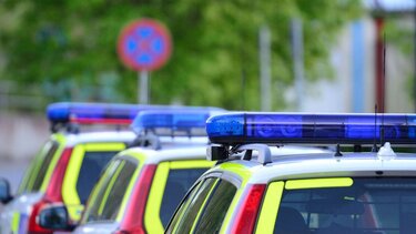 Σουηδία, Περιπολικά