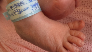 Στέλιος Βαμβακάς