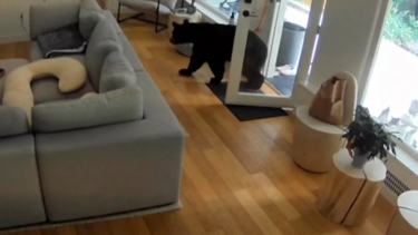 αρκούδα σπίτι 