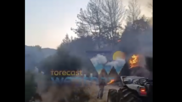 φωτιά ηλεία