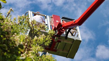 καθαρισμός