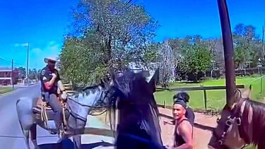 άλογο-ναρκωτικά