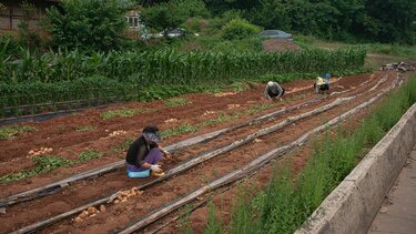 εργάτες γης