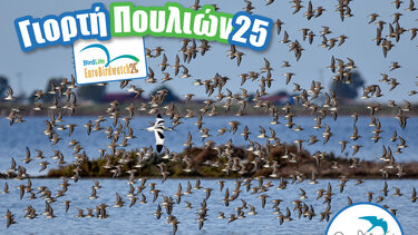 Ευρωπαική γιορτή πουλιών