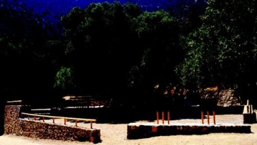 Μνημειακή ελιά, Καβούσι