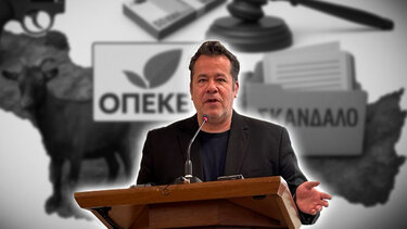 Νίκος Παπαδάκης, Παραβατικότητα