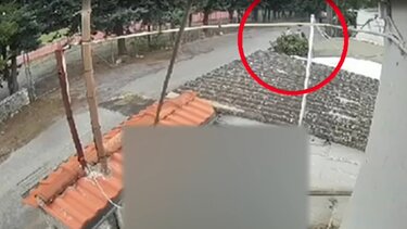 Νέες λεπτομέρειες από την επίθεση με μαχαίρι σε δωδεκάχρονο στην Τρίπολη - Σοκαρισμένοι οι γιατροί