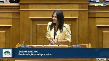 Ελένη Βατσινά, Βουλή