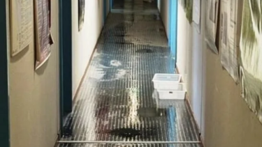 Γεωπονική Σχολή-Βόλος