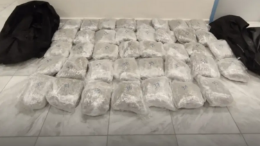 κάνναβη-Κοζάνη