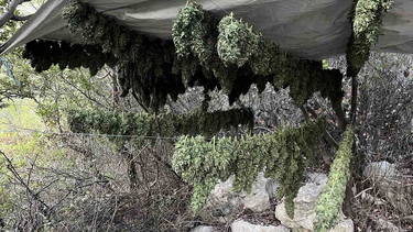 Ηράκλειο κανναβη