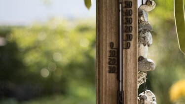 θερμοκρασία