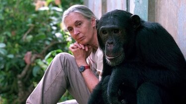 Τζεϊν Γκούντολ