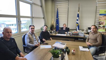 Δήμος Μινώα, Αδέσποτα Ζώα, Στειρώσεις