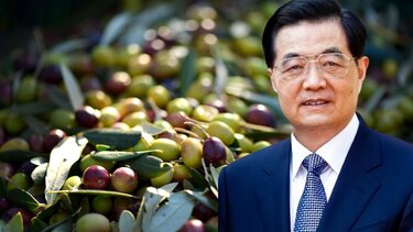 Κινέζοι Κρήτη ελιές