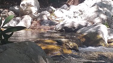 Κουρταλιώτης 