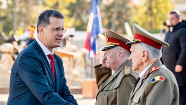 Ιονούτ Μοστεάνου, Ρουμανία