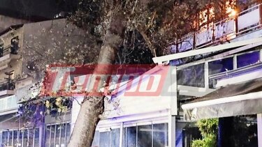 Ηγουμενίτσα: Τεράστιος πλάτανος έπεσε σε επιχείρηση λόγω των ισχυρών ανέμων