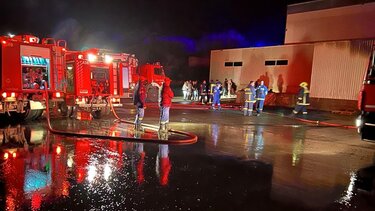 Φωτιά Άγιος Ρωμανος 