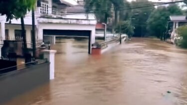 Σρι λανκα νεκροί