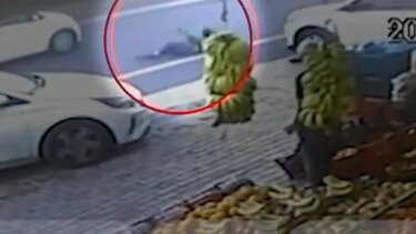 τροχαίο-παράσυρση