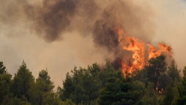 πυρκαγια φωτια