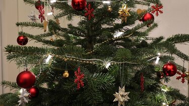 Χριστουγεννιάτικο Δέντρο