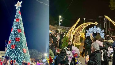 Δέντρο Χερσόνησος