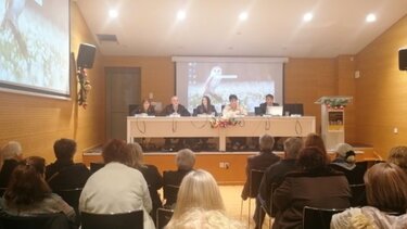 Εσπερίδα Αρχάνες βία