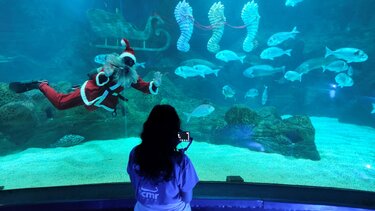 Χριστουγεννιάτικη ξενάγηση από την Περιφέρεια Κρήτης στο Ενυδρείο Κρήτης για παιδιά που νοσηλεύονται