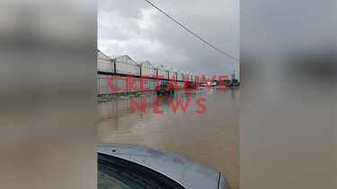 Φέρμα, Βροχή, Ζημιές