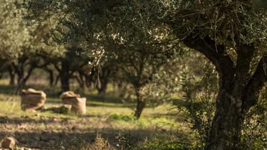 αγρότες-μποκεας