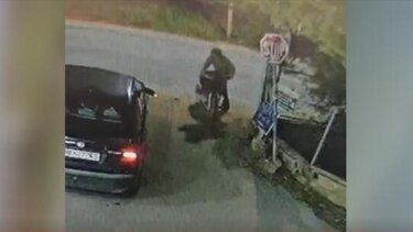 Σκύλος Γούβες