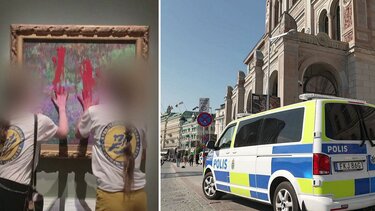 Σουηδία, Ακτιβίστριες