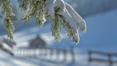 Χειμώνας Κρήτη χιόνια