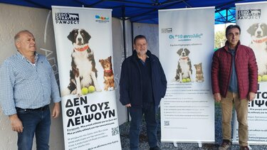 Ξεκίνησε η μεγάλη δράση στειρώσεων και ταυτοποίησης