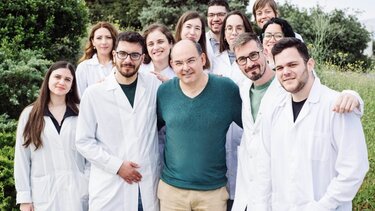 Αλβουμίνη έρευνα ΙΤΕ 