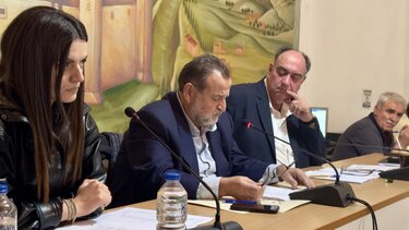 δήμος Μινώα