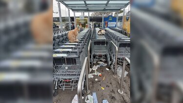 καρότσια σούπερ μάρκετ