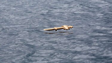 Θεοφάνια, Σταυρός