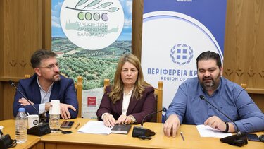 Τζεδάκης, Χουδετσανάκη, Μποκέας