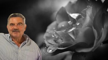 Βασίλης Κεφαλογιάννης