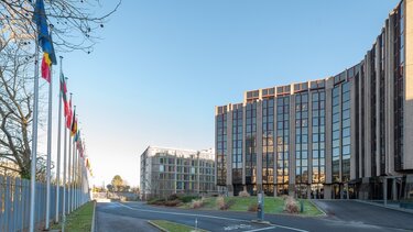 Ευρωπαϊκό ελεγκτικό Συνένδριο