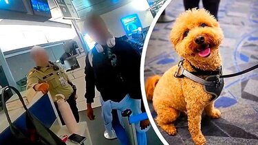 γυναικα-σκύλος-αεροδρόμιο