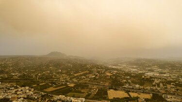 Σαχαριανή σκόνη Κρήτη