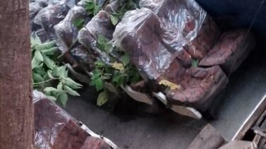 Βολιβία, Τροχαίο