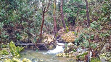 Δρόμοι ζωής