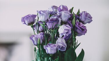 εορτολογιο