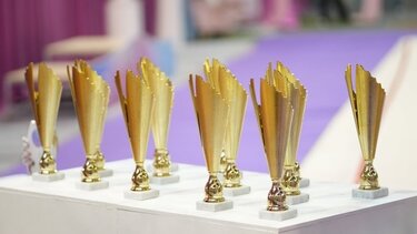 ΙΡΑ, Μετάλλια